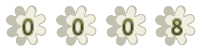 contador web